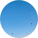 Fatima Gohar profile picture